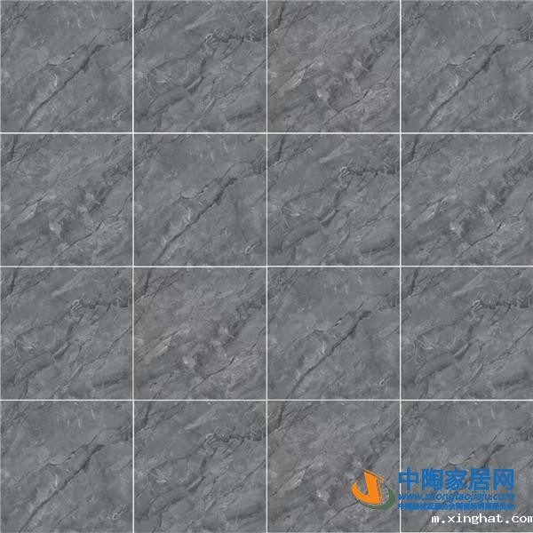 工程瓷砖推荐品牌狮王瓷砖推出900×900无限连纹