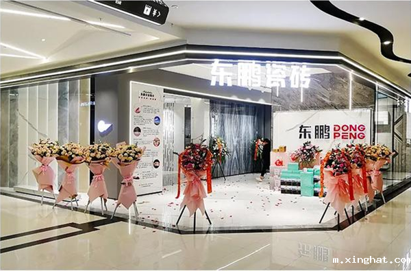 鉴赏陶瓷十大品牌东鹏西安优秀店