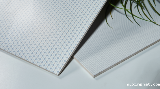 佛山制造顺辉瓷砖『自然的舞』系列新品瓷砖