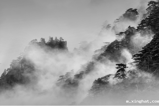 佛山制造顺辉瓷砖『自然的舞』系列新品瓷砖