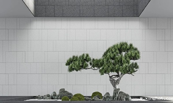 新中源陶瓷户外砖效果图大全