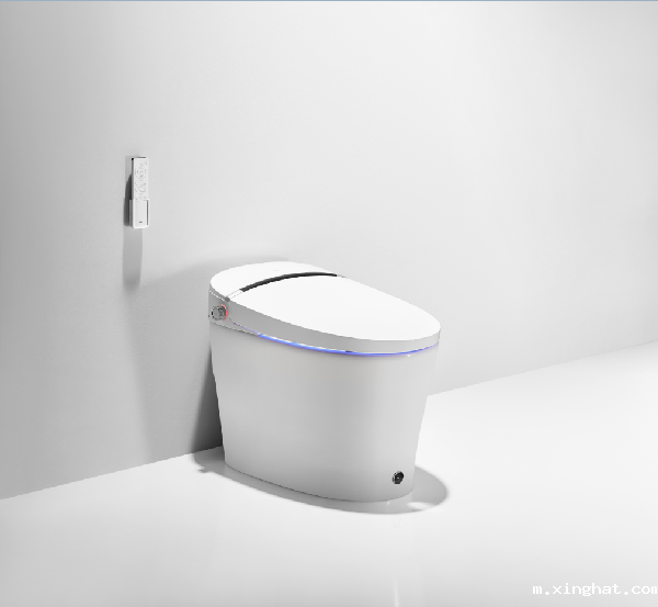 东鹏整装卫浴银坐S1智能马桶