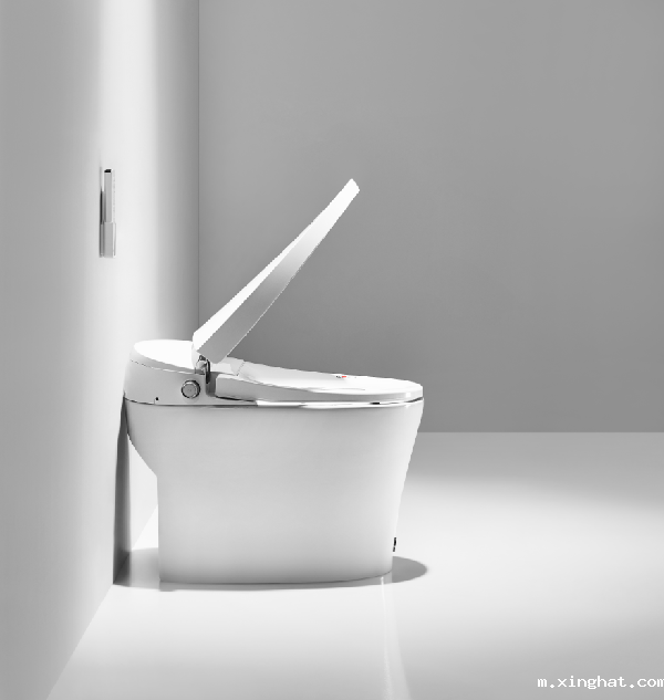 东鹏整装卫浴银坐S1智能马桶