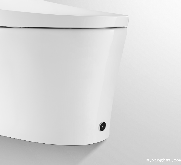 东鹏整装卫浴银坐S1智能马桶