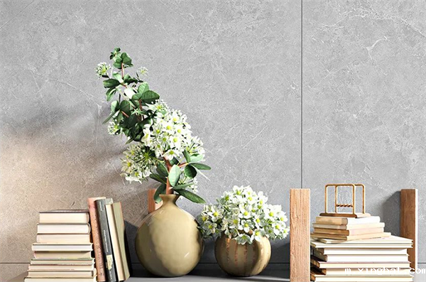 陶瓷十大品牌_新中源