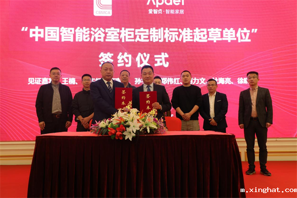 爱智贞智能家居