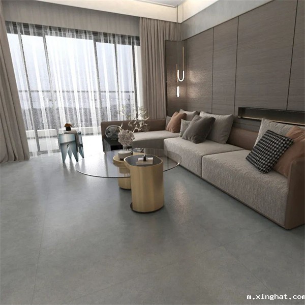 陶瓷十大品牌新润成“STAR·现代星光石”灰的地带