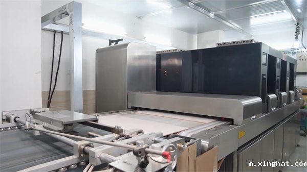 陶瓷十大品牌新中源陶瓷400*800中板生产基地