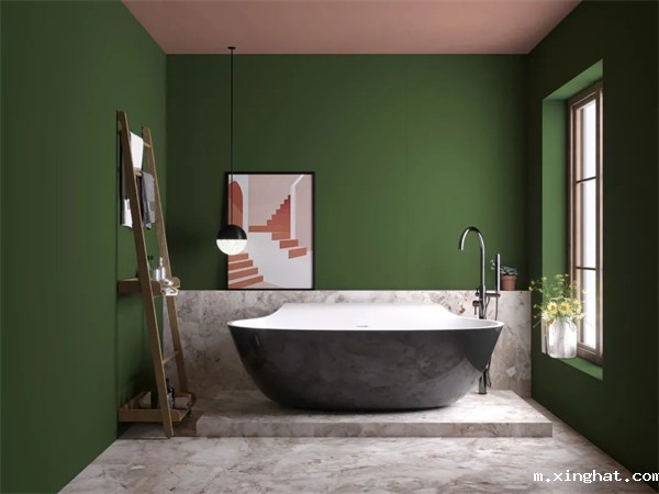 瓷砖十大品牌,金朝阳2600*800纯色岩板