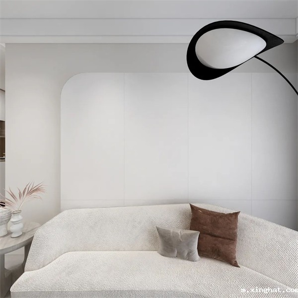 陶瓷十大品牌冠军陶瓷家装案例