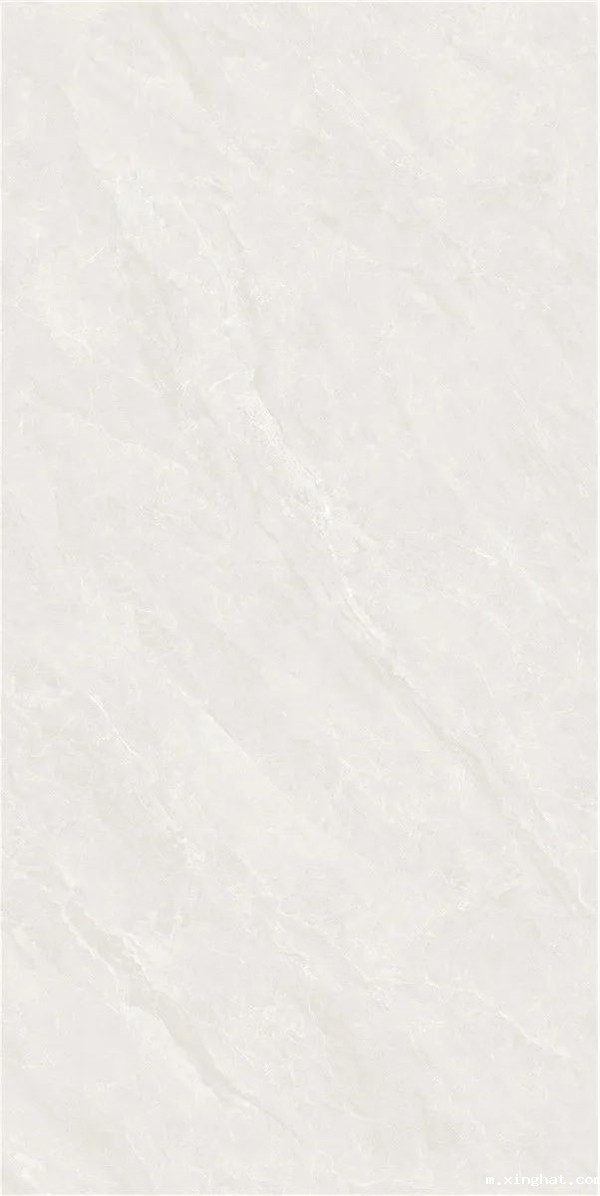 陶瓷十大品牌威尔斯